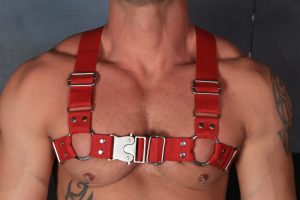 Kristen Bjorn Cloth Harness with Andy Star