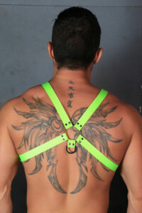 Kristen Bjorn Cloth Harness with Andy Star